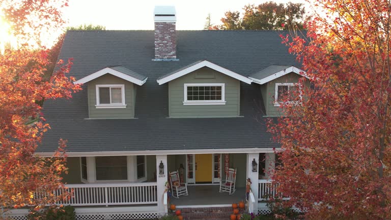 Best Sheet Metal Roofing  in Ripley, OH