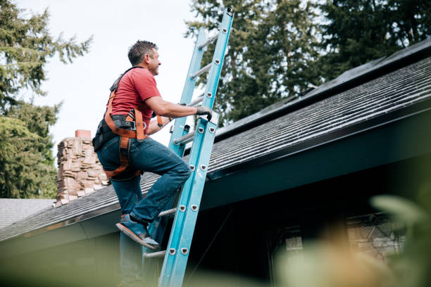 Best 4 Ply Roofing  in Ripley, OH