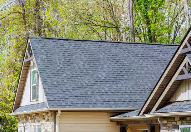 Best Metal Roofing Installation  in Ripley, OH